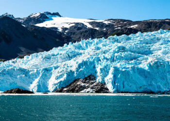 Tidewater Glacier